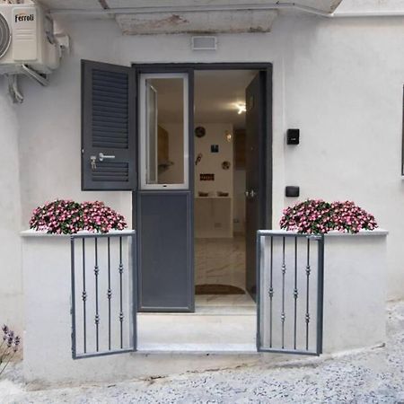 Concordia House Centro Storico Apartment Napoli Bagian luar foto